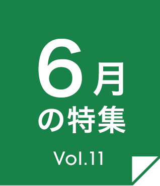 Vol.11